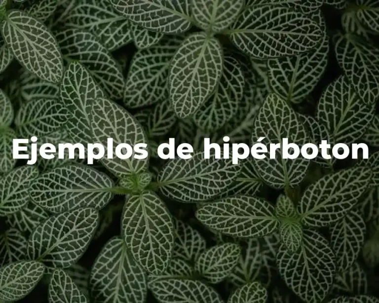 Ejemplos de hipérboton