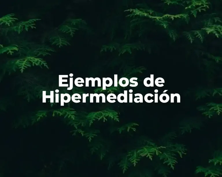 Ejemplos de Hipermediación
