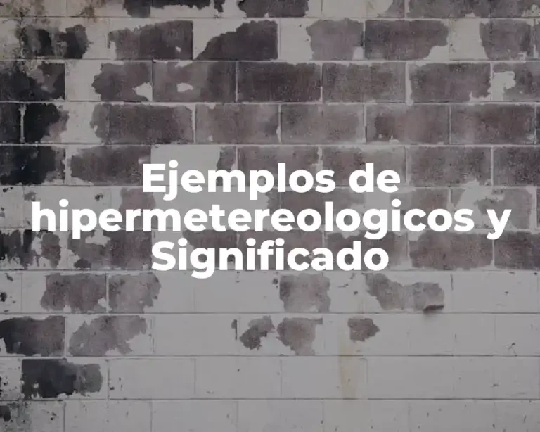 Ejemplos de hipermetereologicos y Significado
