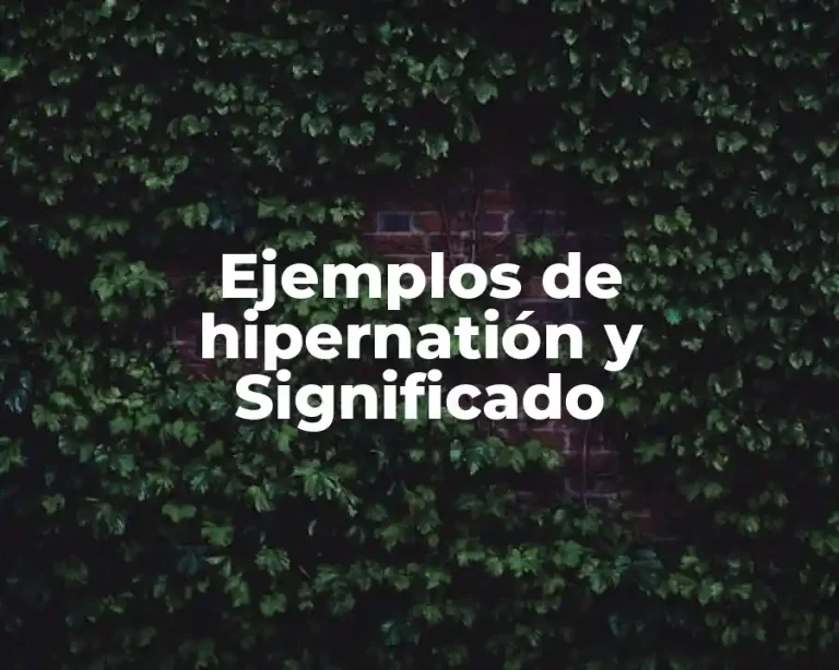 Ejemplos de hipernatión y Significado
