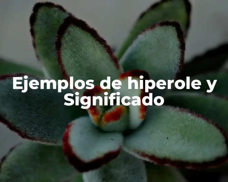 Ejemplos de hiperole y Significado