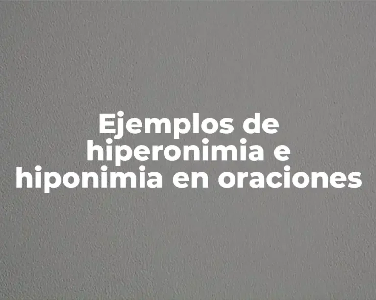 Ejemplos de hiperonimia e hiponimia en oraciones