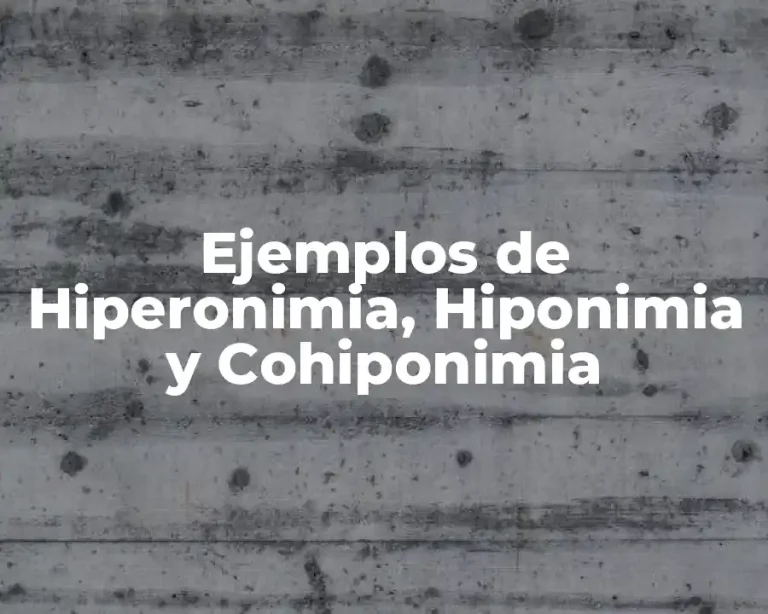 Ejemplos de Hiperonimia, Hiponimia y Cohiponimia