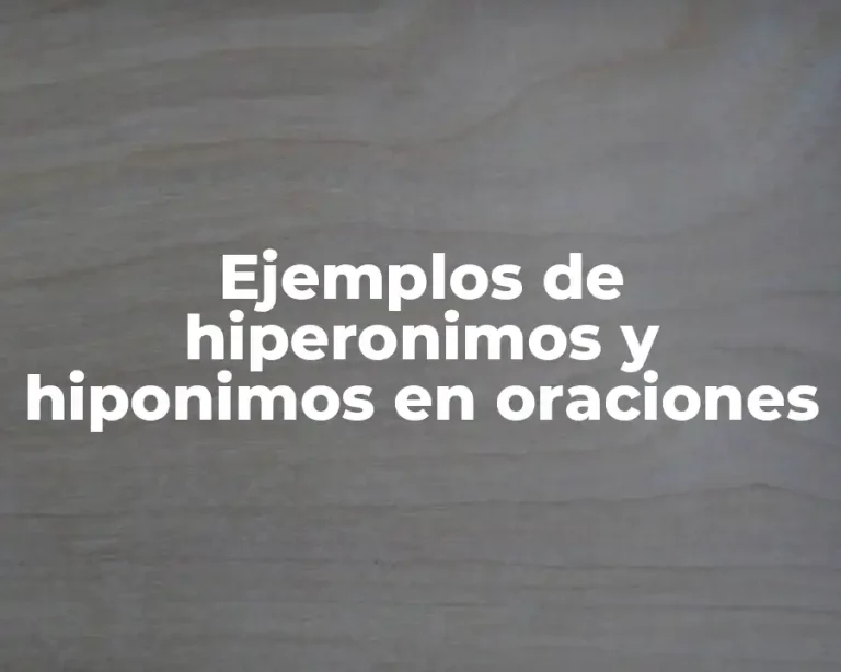Ejemplos de hiperonimos y hiponimos en oraciones