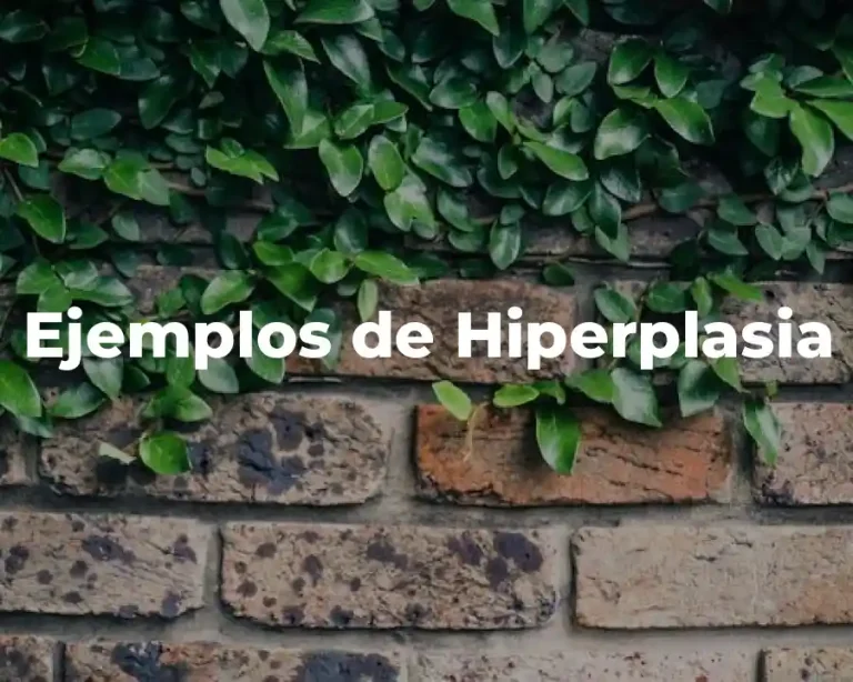 Ejemplos de Hiperplasia