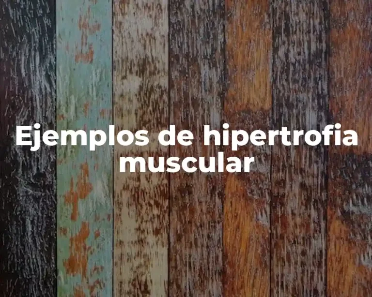Ejemplos de hipertrofia muscular