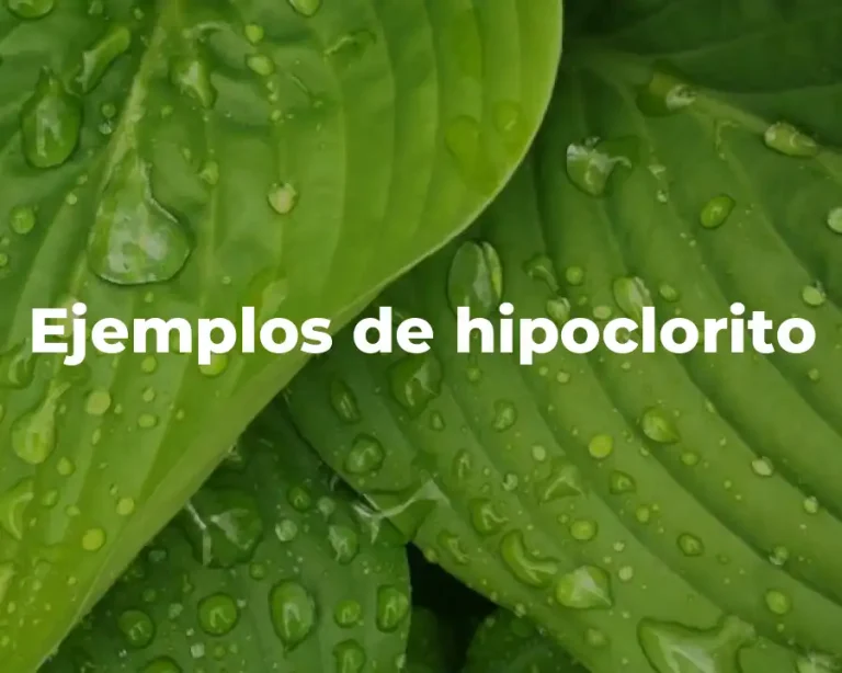 Ejemplos de hipoclorito