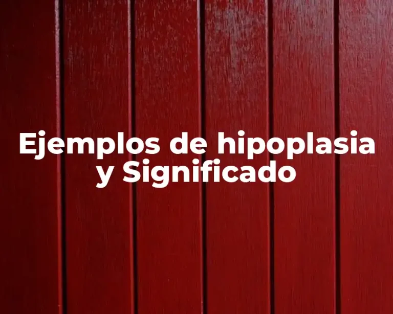 Ejemplos de hipoplasia y Significado