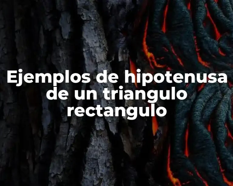 Ejemplos de hipotenusa de un triangulo rectangulo