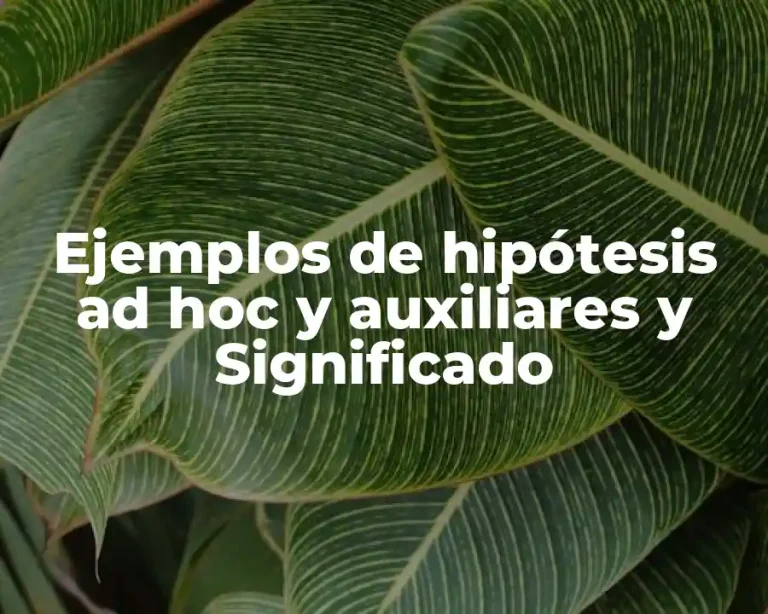 Ejemplos de hipótesis ad hoc y auxiliares y Significado