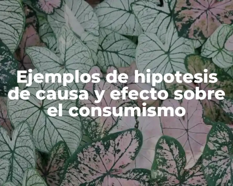Ejemplos de hipotesis de causa y efecto sobre el consumismo