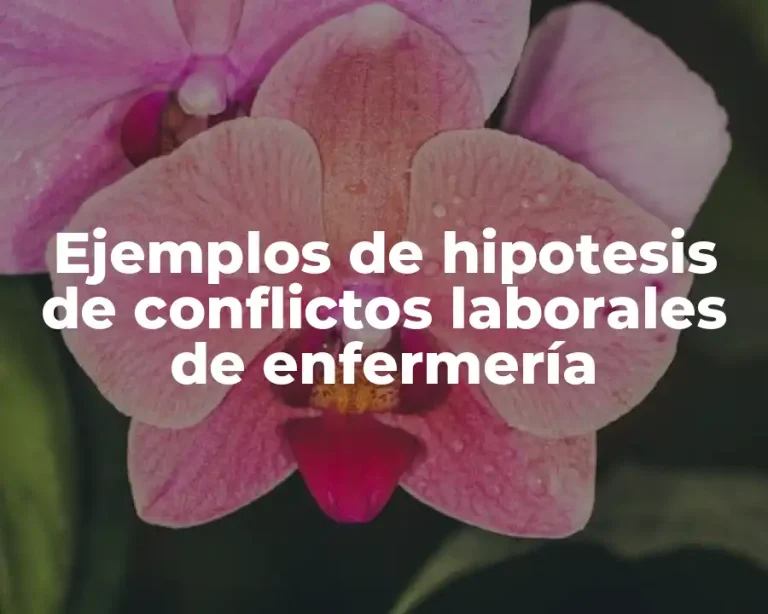 Ejemplos de hipotesis de conflictos laborales de enfermería