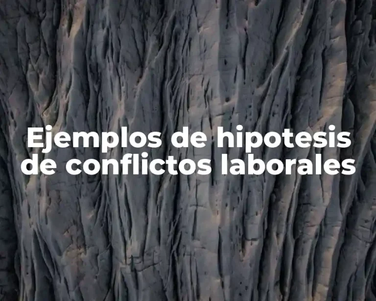 Ejemplos de hipotesis de conflictos laborales