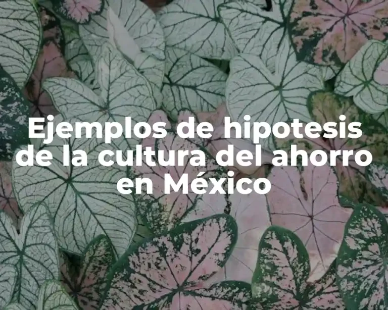 Ejemplos de hipotesis de la cultura del ahorro en México