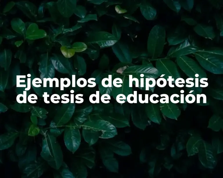 Ejemplos de hipótesis de tesis de educación