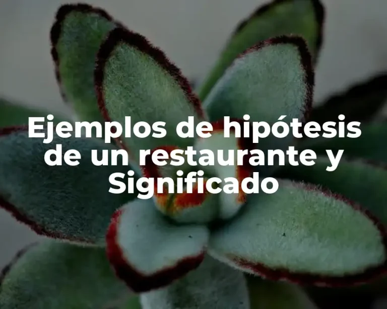 Ejemplos de hipótesis de un restaurante y Significado