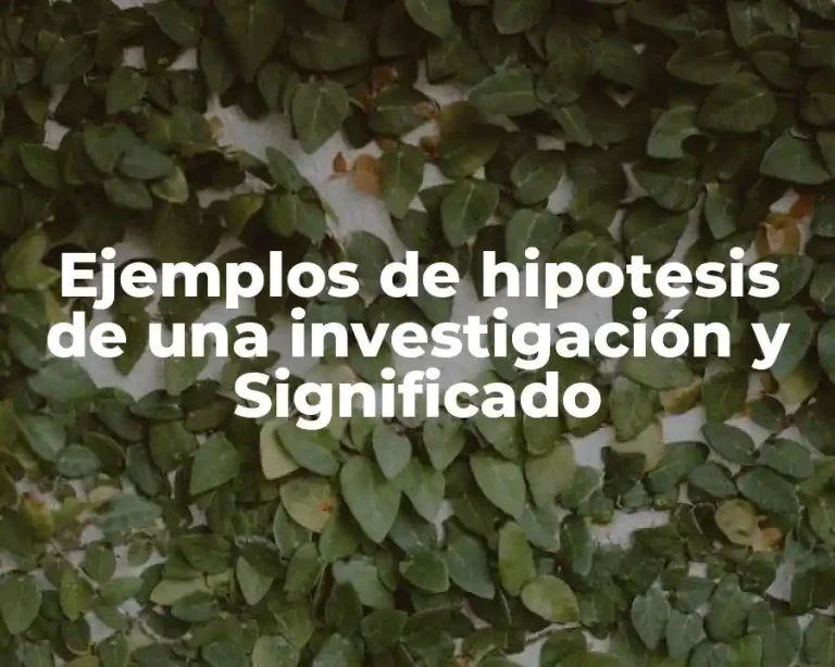 Ejemplos de hipotesis de una investigación y Significado