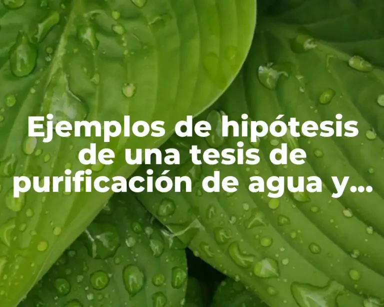 Ejemplos de hipótesis de una tesis de purificación de agua y Significado