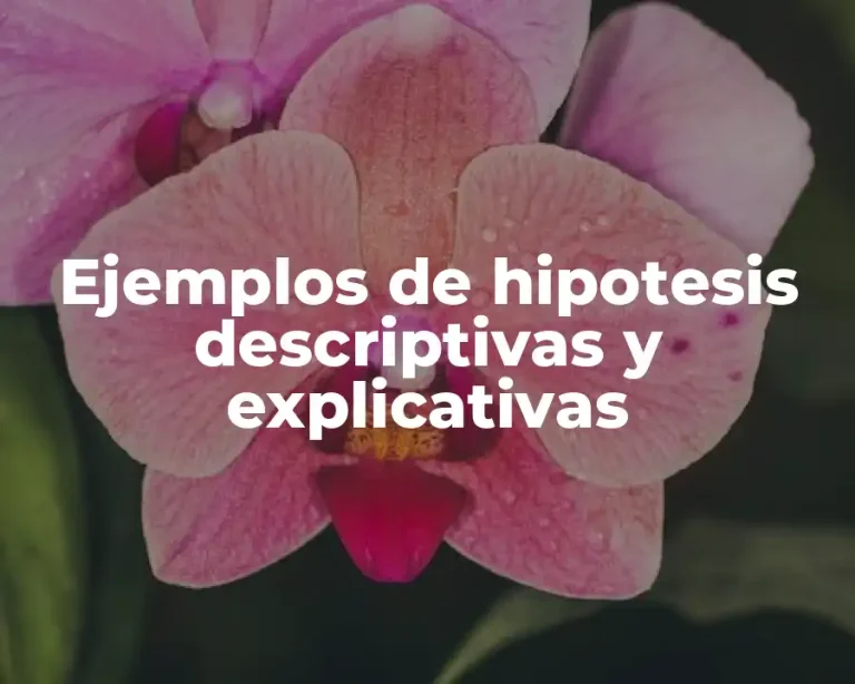 Ejemplos de hipotesis descriptivas y explicativas