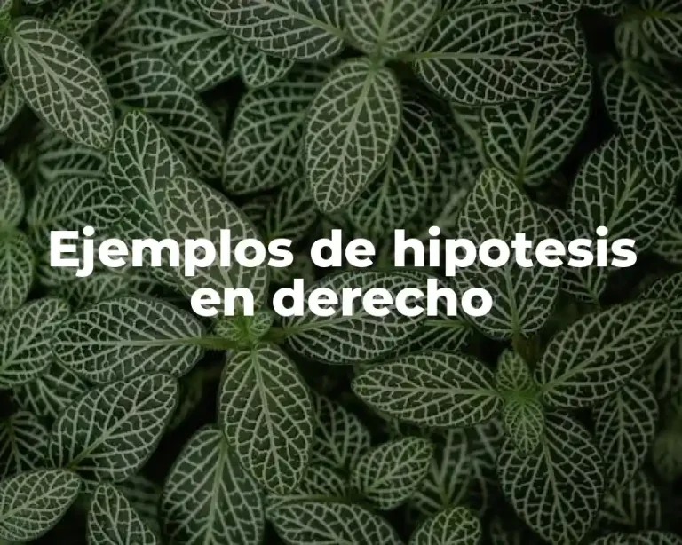 Ejemplos de hipotesis en derecho