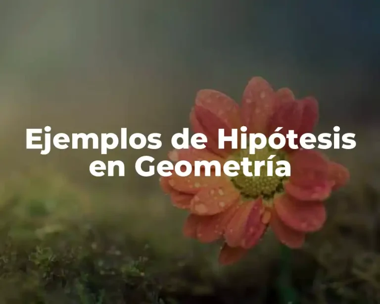 Ejemplos de Hipótesis en Geometría