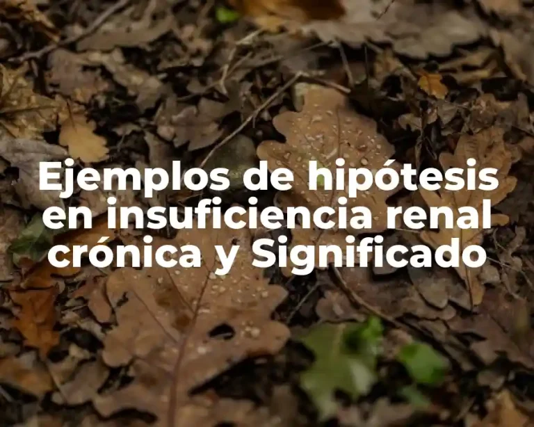 Ejemplos de hipótesis en insuficiencia renal crónica y Significado