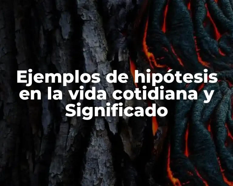 Ejemplos de hipótesis en la vida cotidiana y Significado