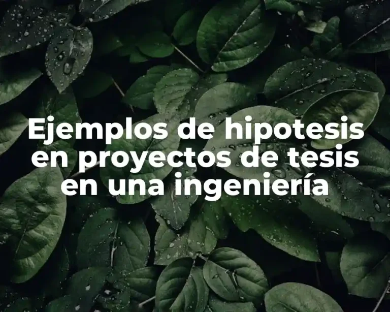 Ejemplos de hipotesis en proyectos de tesis en una ingeniería