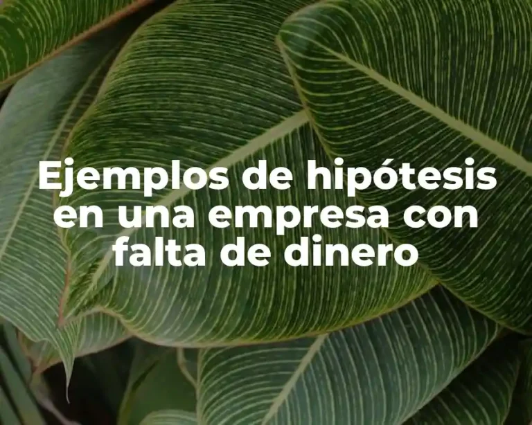 Ejemplos de hipótesis en una empresa con falta de dinero
