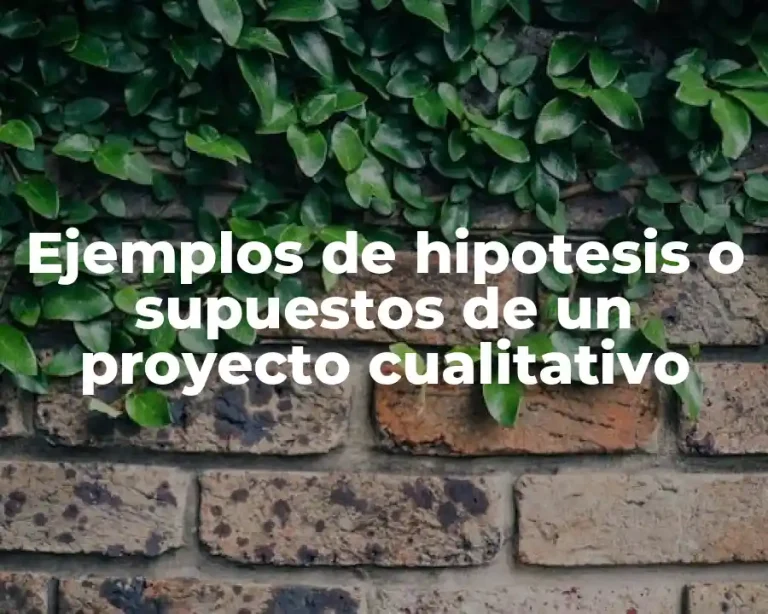 Ejemplos de hipotesis o supuestos de un proyecto cualitativo