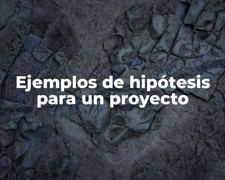 Ejemplos de hipótesis para un proyecto