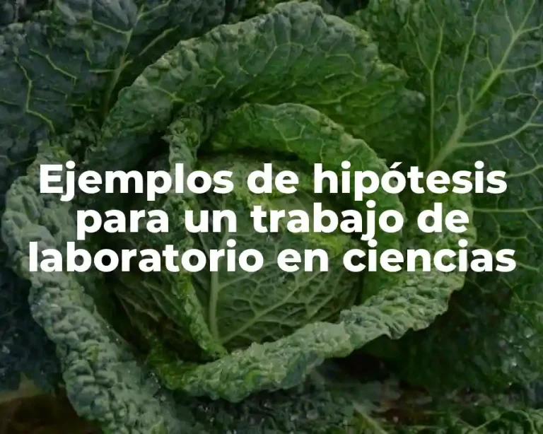 Ejemplos de hipótesis para un trabajo de laboratorio en ciencias