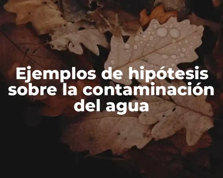 Ejemplos de hipótesis sobre la contaminación del agua