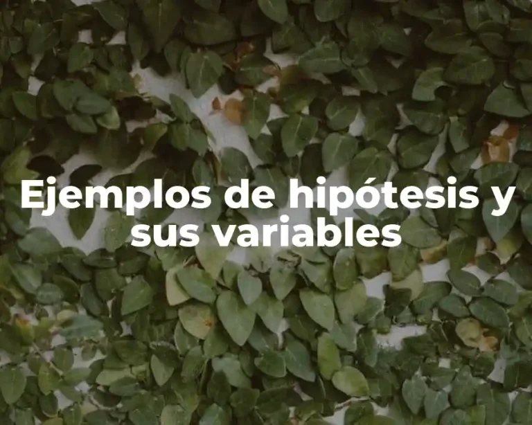 Ejemplos de hipótesis y sus variables