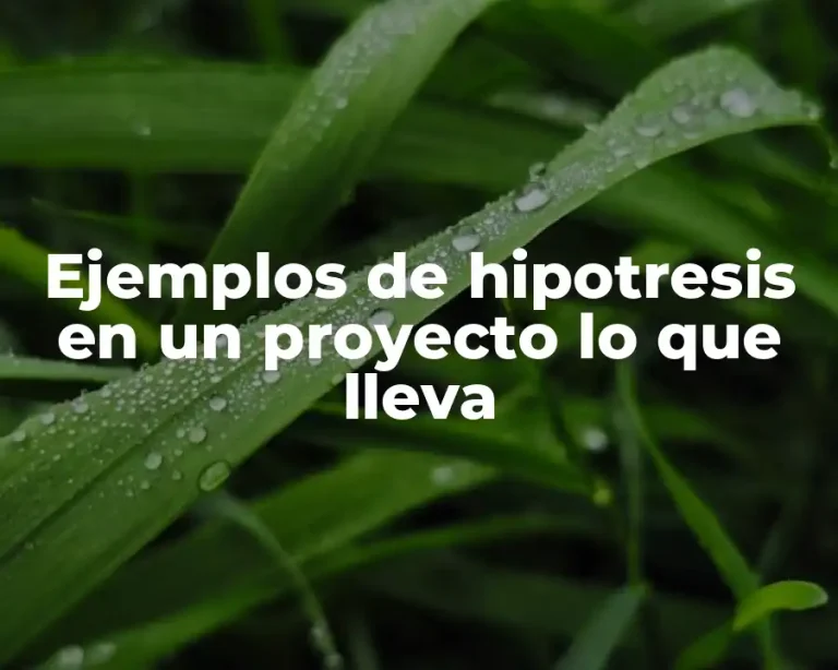 Ejemplos de hipotresis en un proyecto lo que lleva