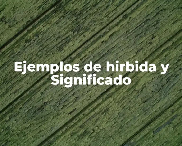 Ejemplos de hirbida y Significado