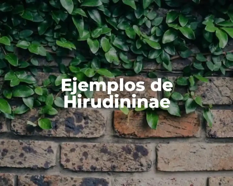 Ejemplos de Hirudininae