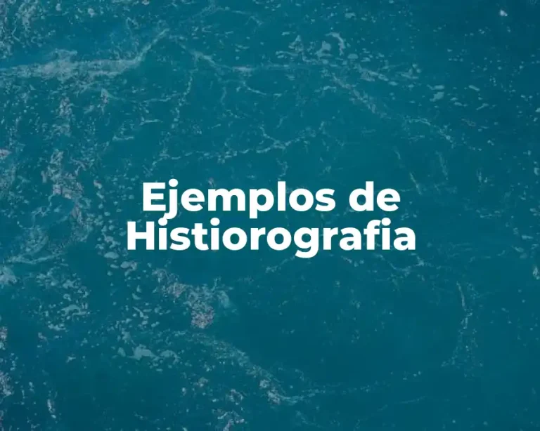 Ejemplos de Histiorografia