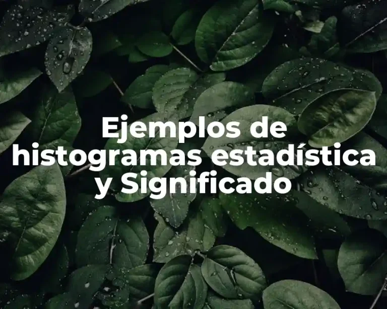 Ejemplos de histogramas estadística y Significado