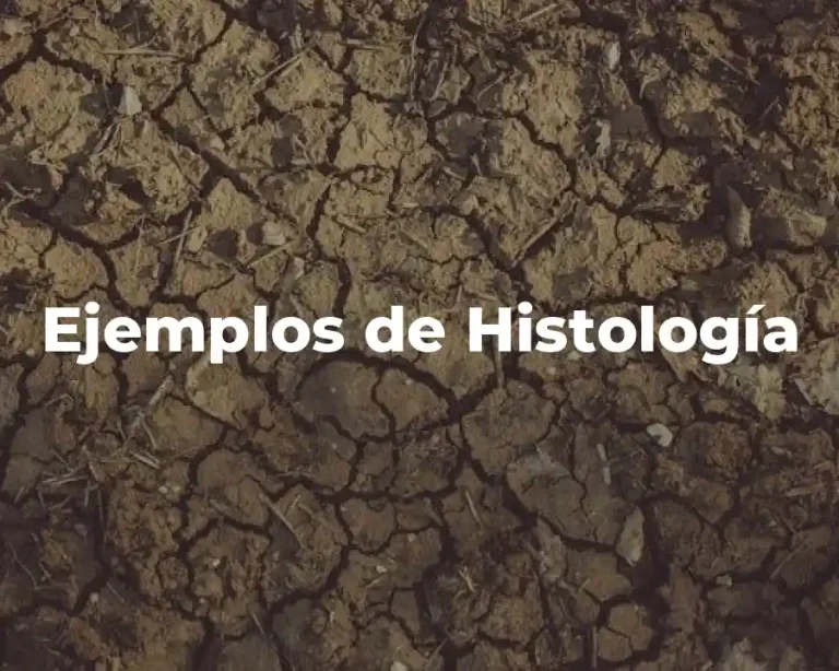 Ejemplos de Histología