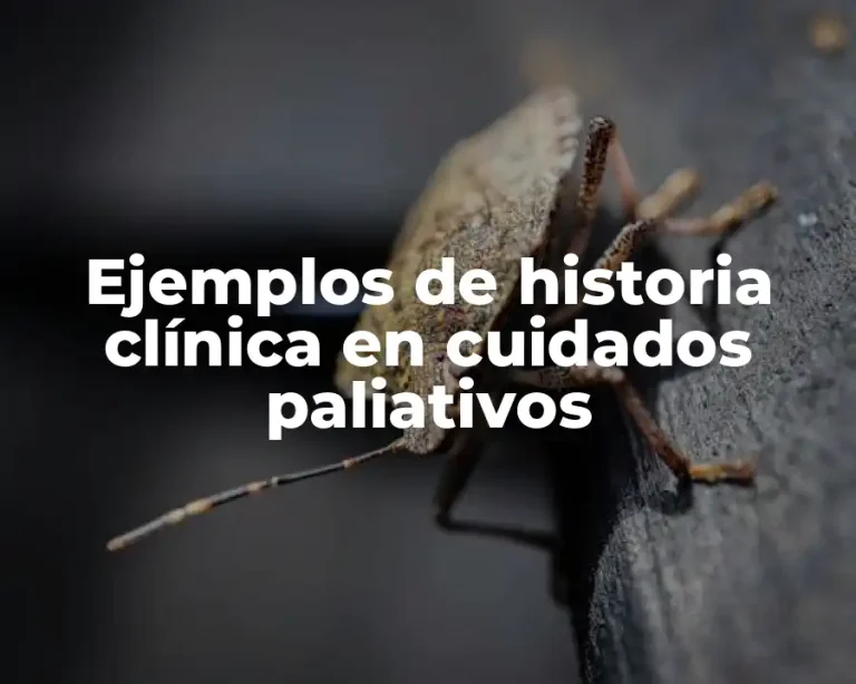 Ejemplos de historia clínica en cuidados paliativos