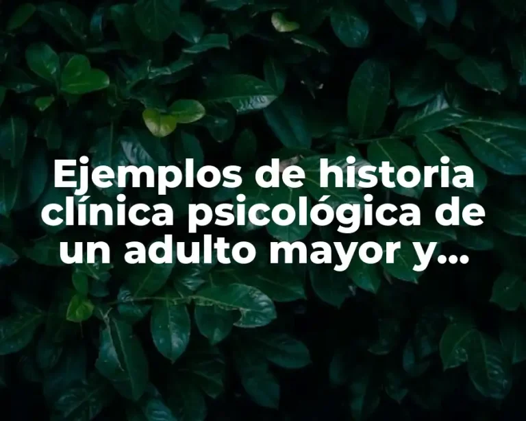 Ejemplos de historia clínica psicológica de un adulto mayor y Significado