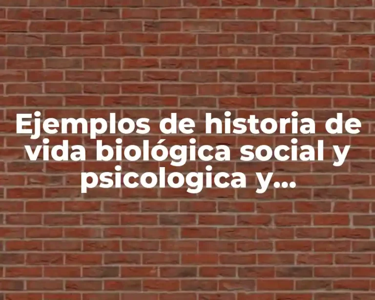 Ejemplos de historia de vida biológica social y psicologica y Significado