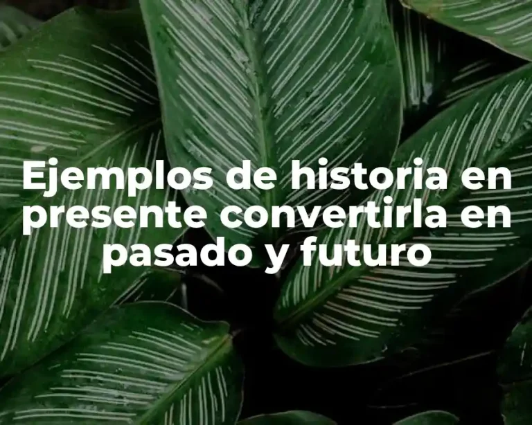 Ejemplos de historia en presente convertirla en pasado y futuro