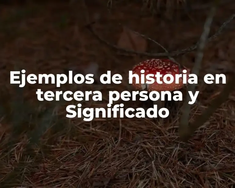 Ejemplos de historia en tercera persona y Significado