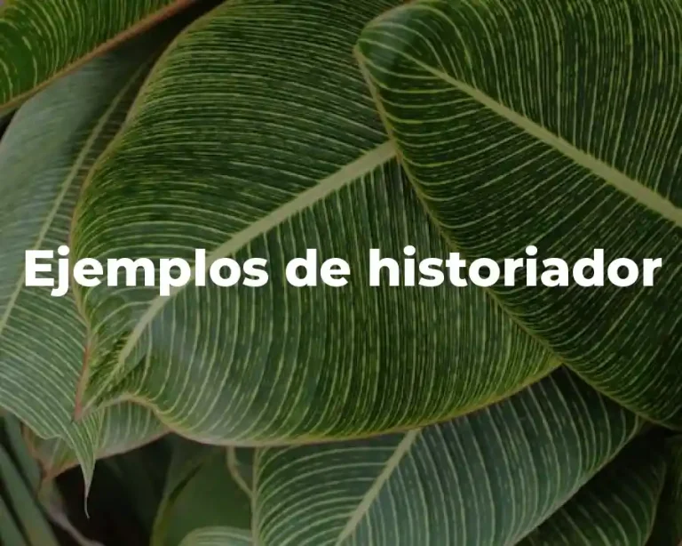 Ejemplos de historiador