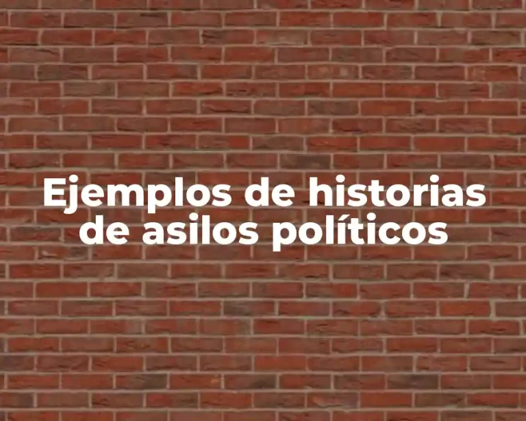 Ejemplos de historias de asilos políticos