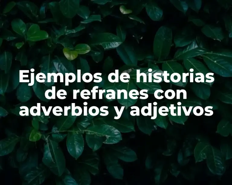 Ejemplos de historias de refranes con adverbios y adjetivos