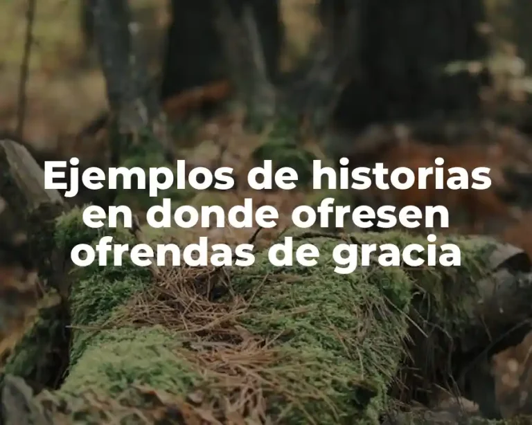 Ejemplos de historias en donde ofresen ofrendas de gracia