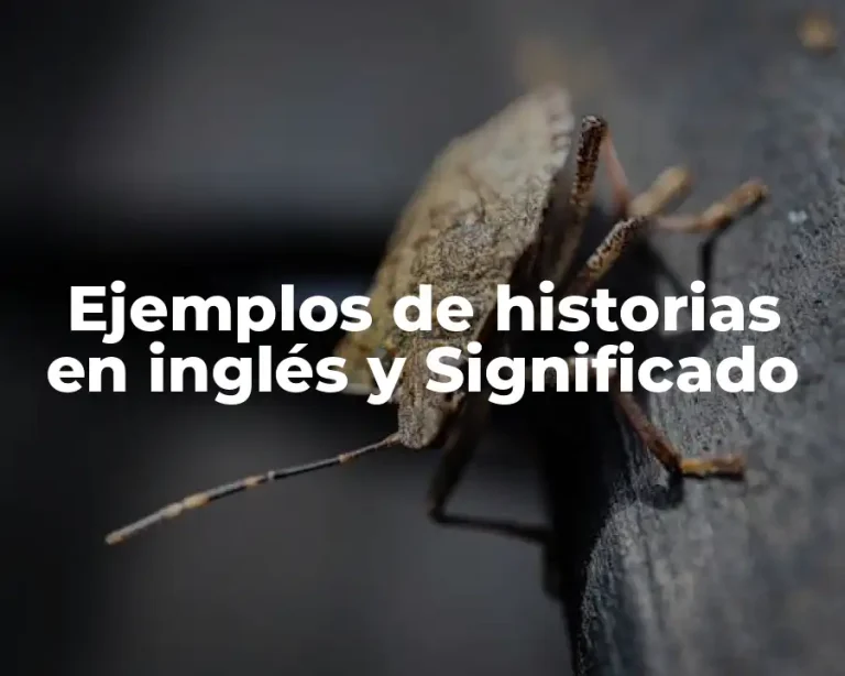 Ejemplos de historias en inglés y Significado